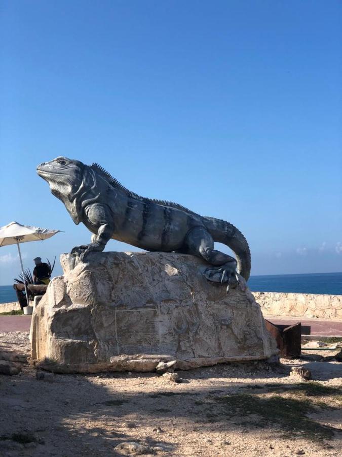 777 Lenderman Hostal 777 Cancun Dış mekan fotoğraf